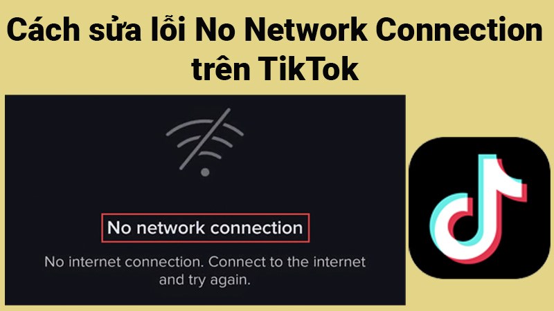 Cách Fix lỗi No Network Connection trên TikTok