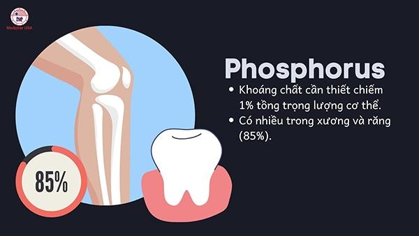 Phosphorus: Loại khoáng chất cần thiết cho sức khỏe xương