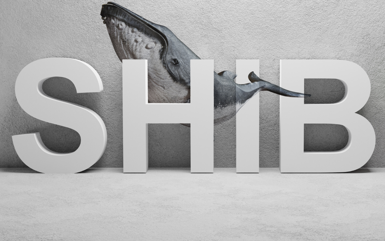 Một cá voi vừa 'bắt đáy' 171 tỷ token SHIB