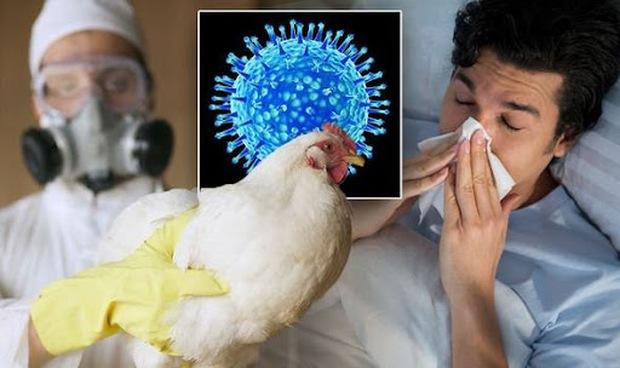 Bệnh cúm này nguy hiểm như thế nào?