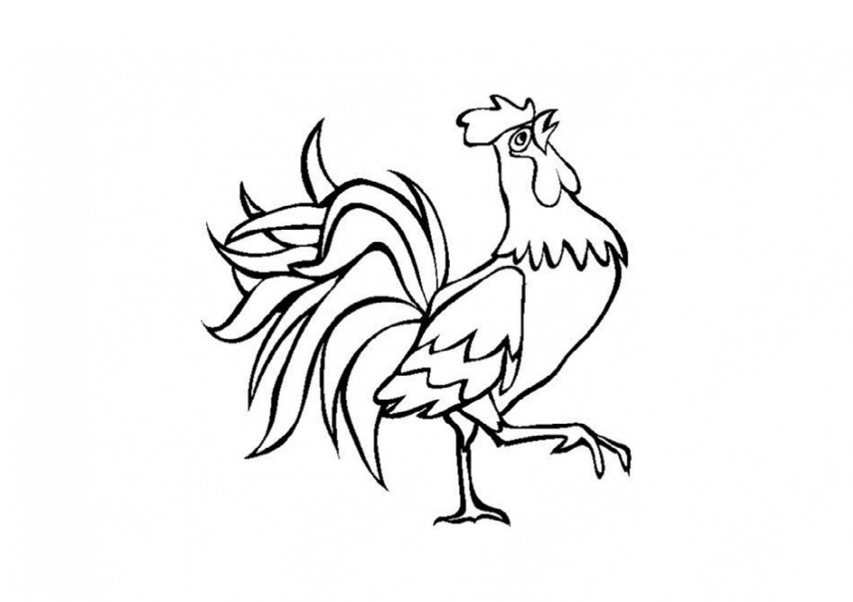 vẽ con gà 1