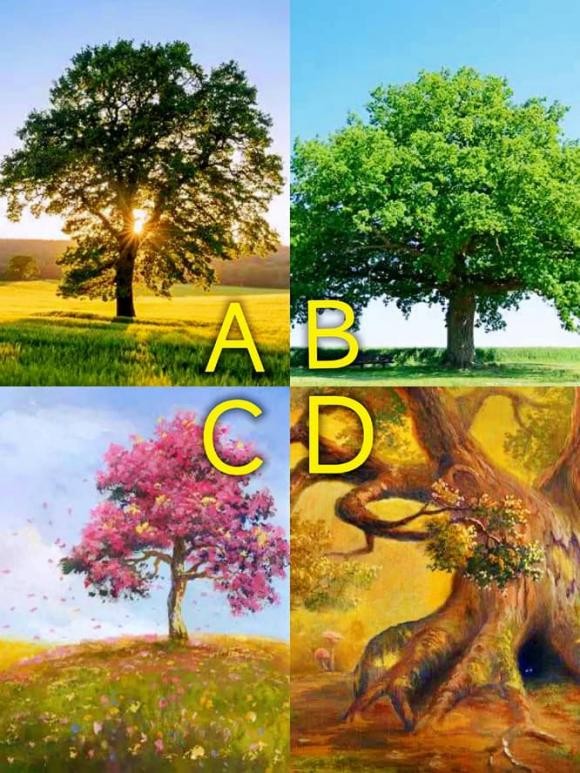 Trắc nghiệm tâm lý: Bạn muốn ngồi dưới gốc cây nào?