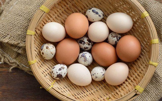 Trứng tốt như nhân sâm, giúp 'trẻ hóa lão hóa', ai cũng tưởng là trứng gà nhưng hóa ra đã nhầm