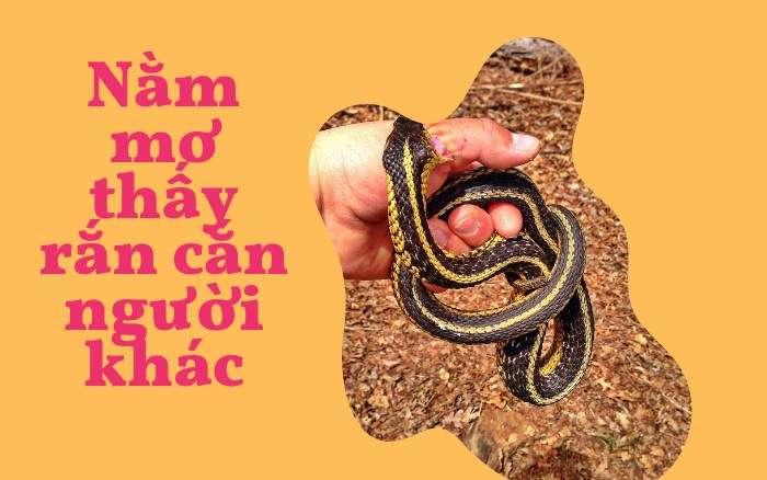 What does it mean to dream about being bitten by a snake?