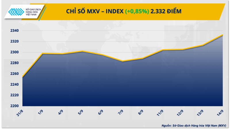 Thị trường hàng hóa hôm nay 15/9/2023: MXV-Index đạt mức cao nhất 7 tuần