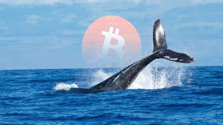 Cá voi Bitcoin cổ đại sống lại, di chuyển 38 triệu đô la sau khi kiếm được 13.500%